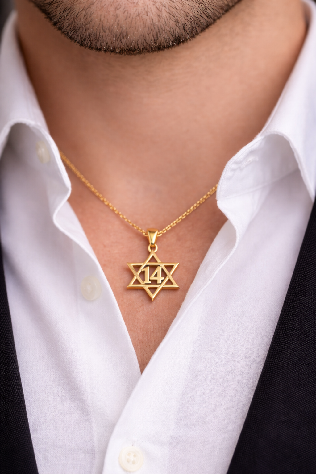 תליון מגן 14 מקרוב